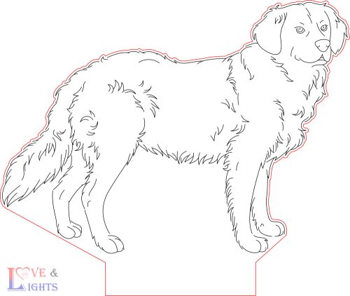 Golden retriever, kutyás led lámpa 
