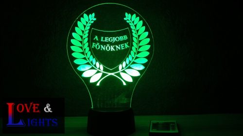 !!!Egyedi mintás 3D illúzió lámpa!!!!