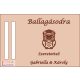 Ballagási gravírozott pénzátaó kártya bagoly mintával