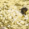 Arany konfettis push pop - mini konfettilövő