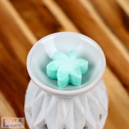 Viasz Szett, 6db-os - Rejtett Kert