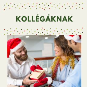 6 - Kollégáknak